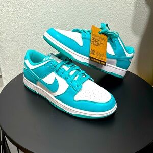 NEW Nike 10.5 men’s & woman’s 12 sneakers dunklow